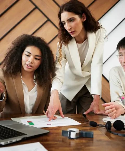 What is Language Consulting